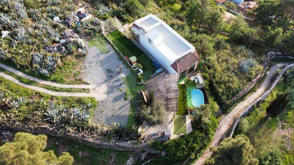 大加那利岛拉斯帕尔马斯Casa Carmelita公寓 外观 照片